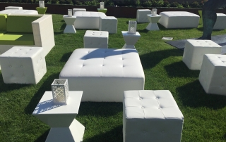 diva and cube ottomans with rupert end tables