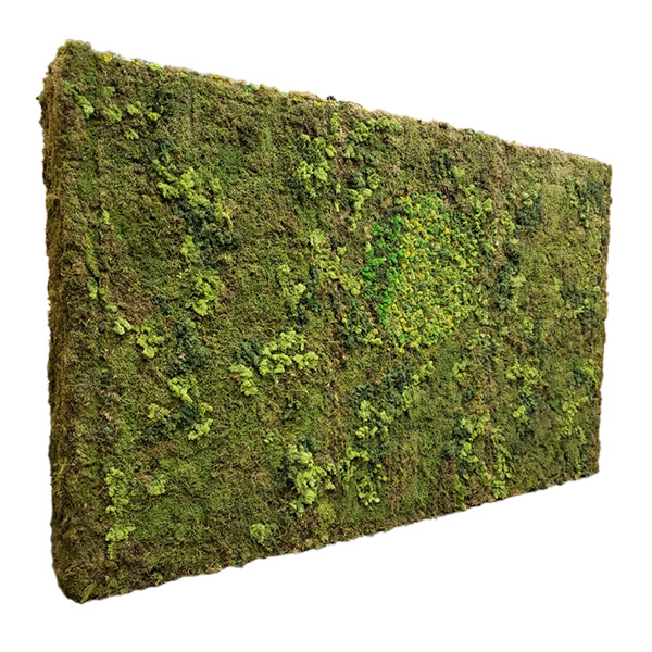 Natural Dried Moss Wall Panels